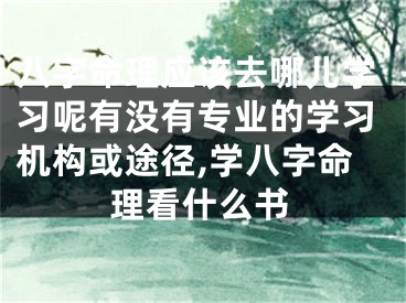 八字命理应该去哪儿学习呢有没有专业的学习机构或途径,学八字命理看什么书