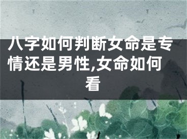 八字如何判断女命是专情还是男性,女命如何看