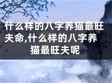 什么样的八字养猫最旺夫命,什么样的八字养猫最旺夫呢