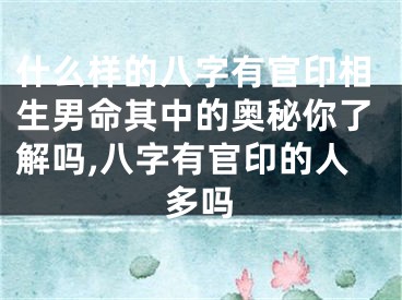 什么样的八字有官印相生男命其中的奥秘你了解吗,八字有官印的人多吗