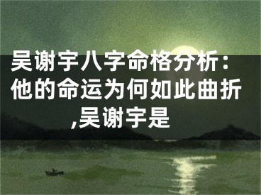 吴谢宇八字命格分析：他的命运为何如此曲折,吴谢宇是