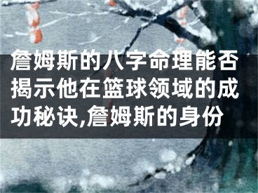 詹姆斯的八字命理能否揭示他在篮球领域的成功秘诀,詹姆斯的身份