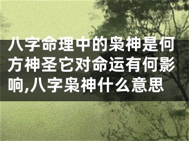 八字命理中的枭神是何方神圣它对命运有何影响,八字枭神什么意思