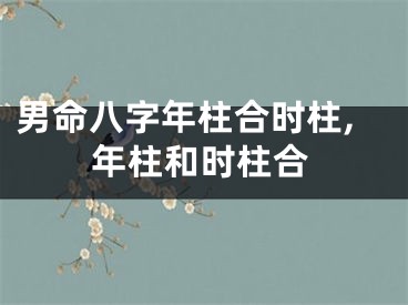 男命八字年柱合时柱,年柱和时柱合