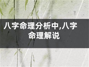 八字命理分析中,八字命理解说
