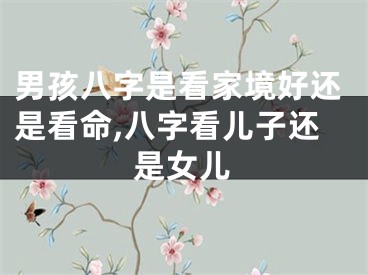 男孩八字是看家境好还是看命,八字看儿子还是女儿