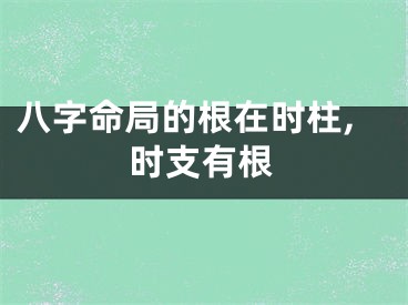 八字命局的根在时柱,时支有根