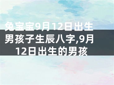 兔宝宝9月12日出生男孩子生辰八字,9月12日出生的男孩