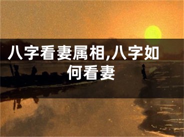 八字看妻属相,八字如何看妻