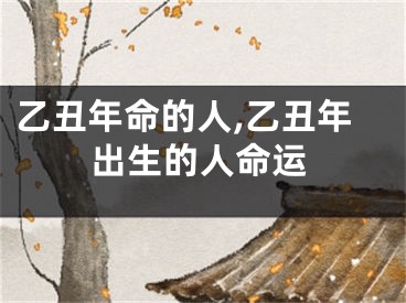 乙丑年命的人,乙丑年出生的人命运