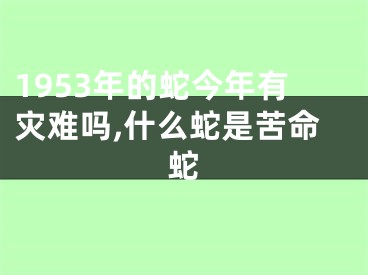 1953年的蛇今年有灾难吗,什么蛇是苦命蛇