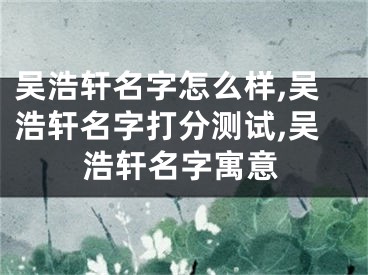 吴浩轩名字怎么样,吴浩轩名字打分测试,吴浩轩名字寓意
