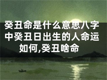 癸丑命是什么意思八字中癸丑日出生的人命运如何,癸丑啥命
