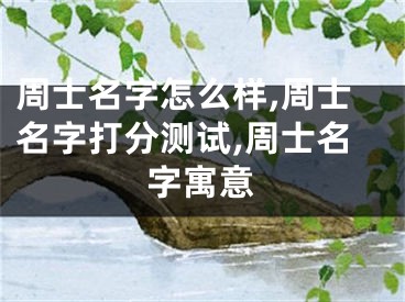 周士名字怎么样,周士名字打分测试,周士名字寓意