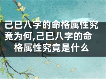 己巳八字的命格属性究竟为何,己巳八字的命格属性究竟是什么