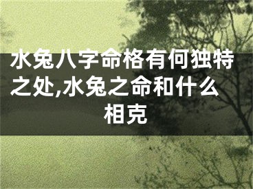 水兔八字命格有何独特之处,水兔之命和什么相克