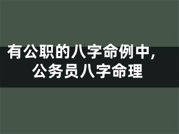 有公职的八字命例中,公务员八字命理