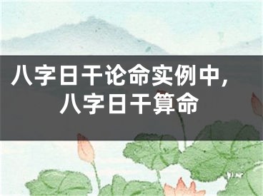 八字日干论命实例中,八字日干算命