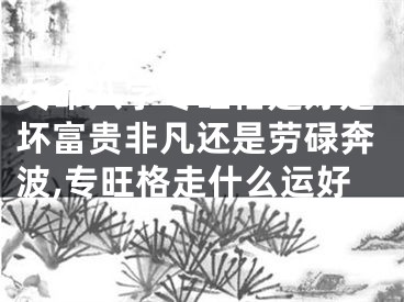 女命八字专旺格是好是坏富贵非凡还是劳碌奔波,专旺格走什么运好
