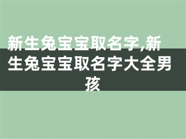 新生兔宝宝取名字,新生兔宝宝取名字大全男孩