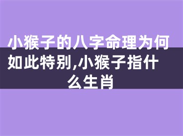 小猴子的八字命理为何如此特别,小猴子指什么生肖