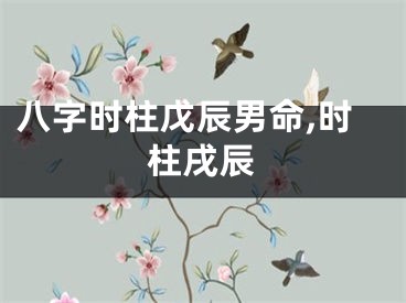 八字时柱戊辰男命,时柱戌辰
