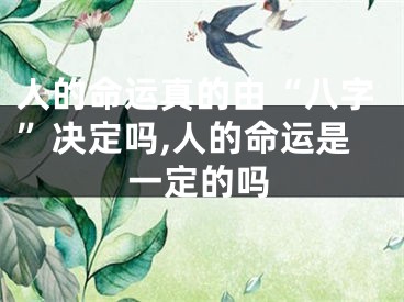 人的命运真的由“八字”决定吗,人的命运是一定的吗