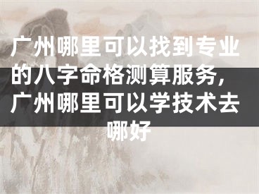 广州哪里可以找到专业的八字命格测算服务,广州哪里可以学技术去哪好