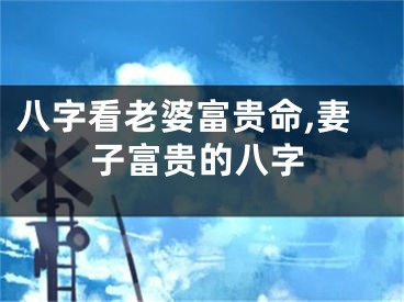 八字看老婆富贵命,妻子富贵的八字