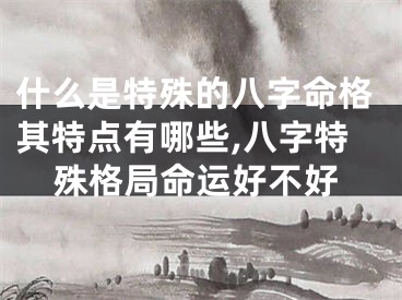 什么是特殊的八字命格其特点有哪些,八字特殊格局命运好不好