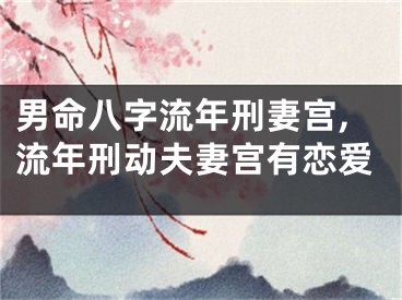 男命八字流年刑妻宫,流年刑动夫妻宫有恋爱