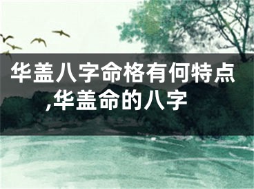 华盖八字命格有何特点,华盖命的八字