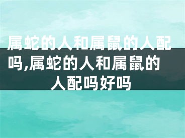 属蛇的人和属鼠的人配吗,属蛇的人和属鼠的人配吗好吗