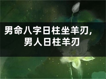 男命八字日柱坐羊刃,男人日柱羊刃