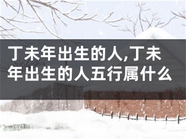丁未年出生的人,丁未年出生的人五行属什么