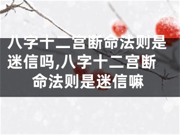 八字十二宫断命法则是迷信吗,八字十二宫断命法则是迷信嘛