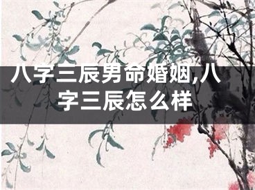 八字三辰男命婚姻,八字三辰怎么样