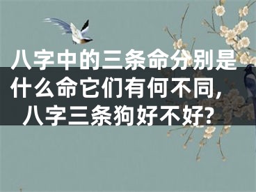 八字中的三条命分别是什么命它们有何不同,八字三条狗好不好?