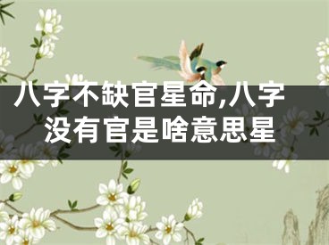 八字不缺官星命,八字没有官是啥意思星