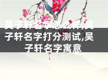 吴子轩名字怎么样,吴子轩名字打分测试,吴子轩名字寓意
