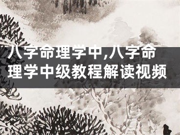 八字命理学中,八字命理学中级教程解读视频