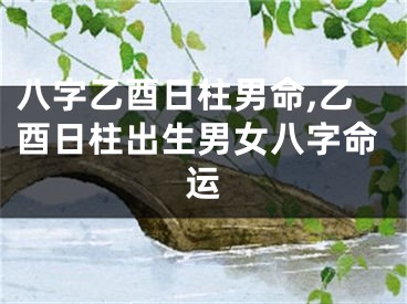 八字乙酉日柱男命,乙酉日柱出生男女八字命运