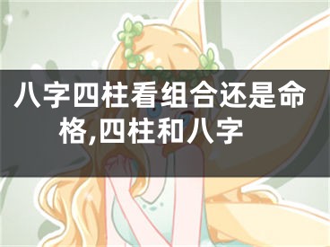 八字四柱看组合还是命格,四柱和八字