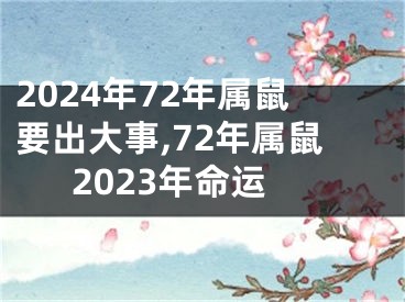 2024年72年属鼠要出大事,72年属鼠2023年命运