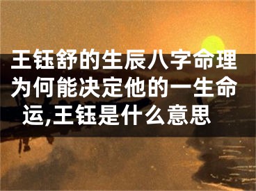 王钰舒的生辰八字命理为何能决定他的一生命运,王钰是什么意思
