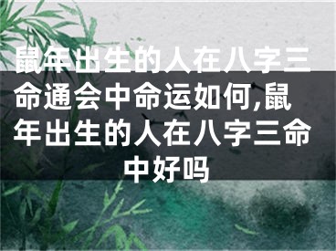 鼠年出生的人在八字三命通会中命运如何,鼠年出生的人在八字三命中好吗