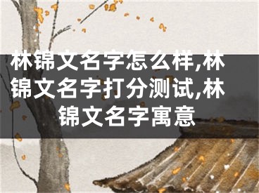 林锦文名字怎么样,林锦文名字打分测试,林锦文名字寓意