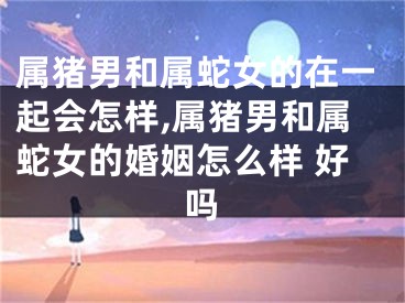 属猪男和属蛇女的在一起会怎样,属猪男和属蛇女的婚姻怎么样 好吗