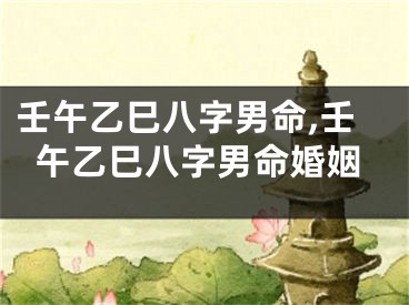 壬午乙巳八字男命,壬午乙巳八字男命婚姻