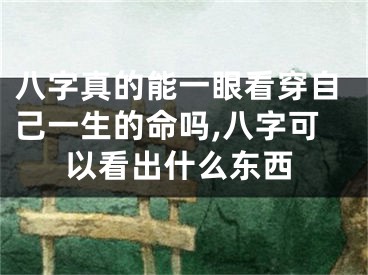 八字真的能一眼看穿自己一生的命吗,八字可以看出什么东西